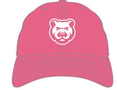 Youth Iowa Cubs Pop Classic Cap, Pink