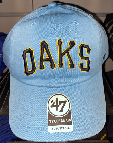 Men's Iowa OAKS Cap, Columbia Blue