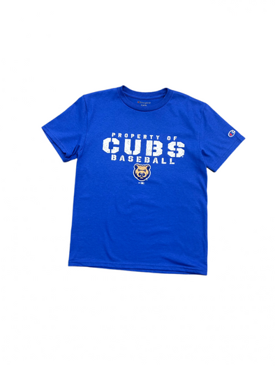 Iowa Cubs Youth Jersey Tee