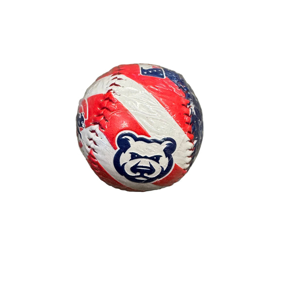 Iowa Cubs Flag Baseball