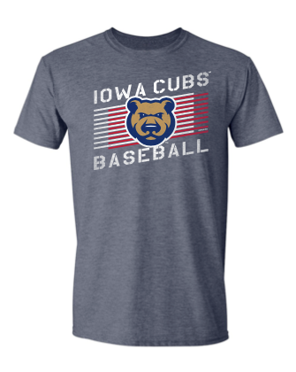 Men's Iowa Cubs Dang Tee, Navy