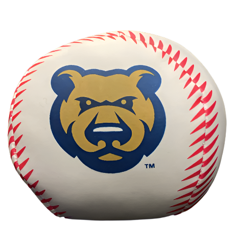 All Kids – Iowa Cubs Official Store