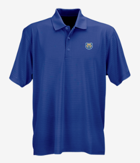 Men's Iowa Cubs Textured Stripe Home Polo, Royal