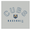Women's Iowa Cubs Under Armour Hooded Long Sleeved Tee