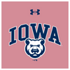 Kid's Iowa Cubs Under Armour Short Sleeved Tee
