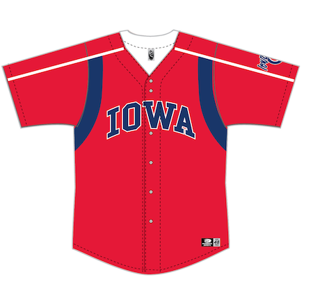 Cubs top jersey adult